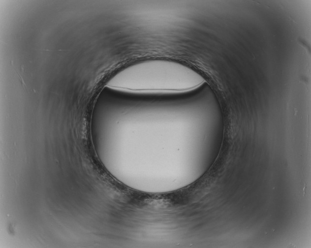 X0000101670689200807101049