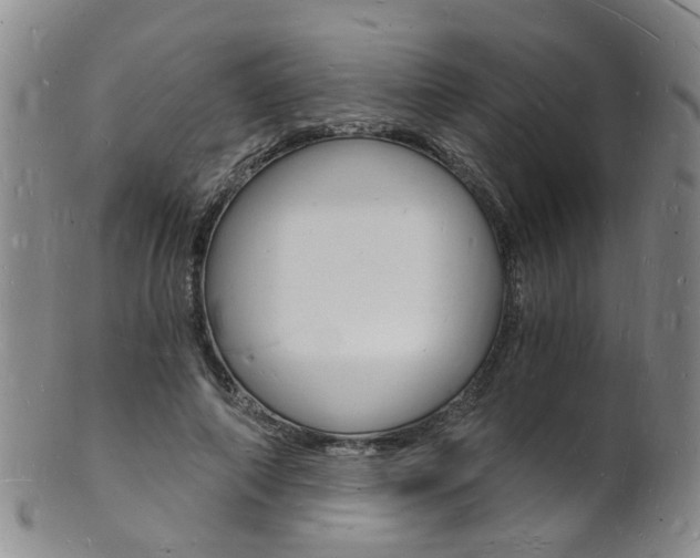 X0000101670690200807101049