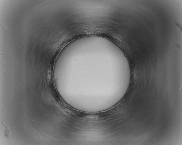 X0000101670691200807101049