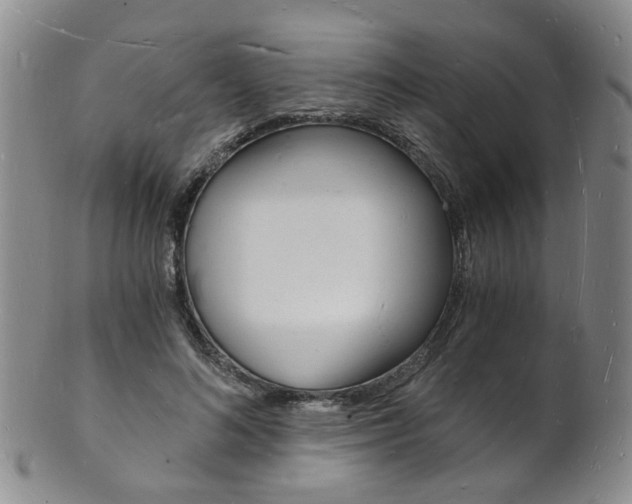 X0000101670692200807101049