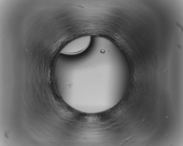 X0000101670693200807101049