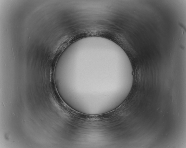 X0000101670694200807101049