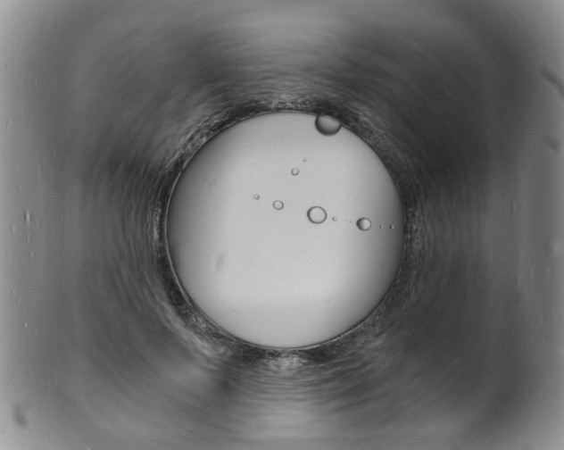 X0000101670695200807101049