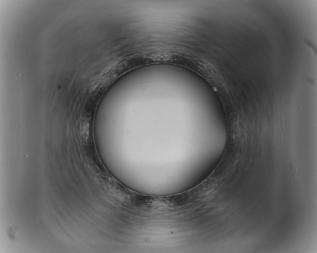 X0000101670697200807101049