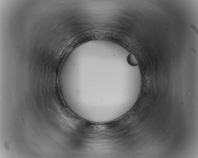 X0000101670698200807101049