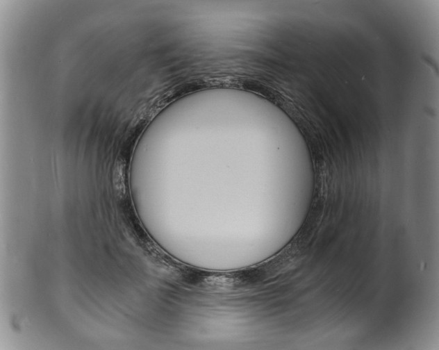 X0000101670699200807101049