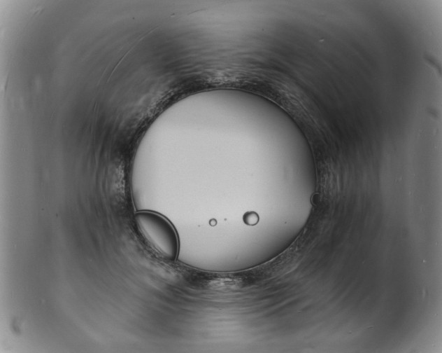 X0000101670700200807101049