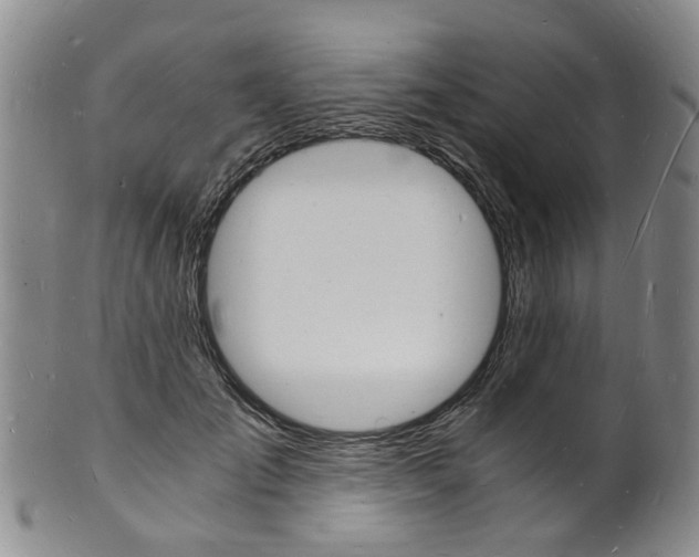 X0000101670701200807101049