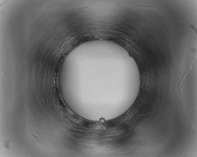 X0000101670702200807101049