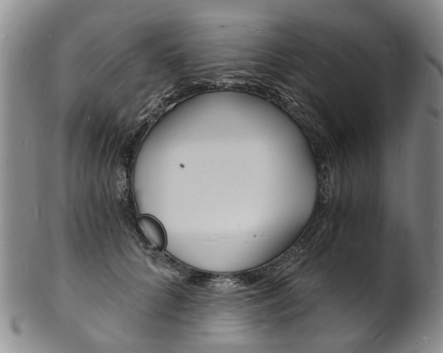 X0000101670704200807101049
