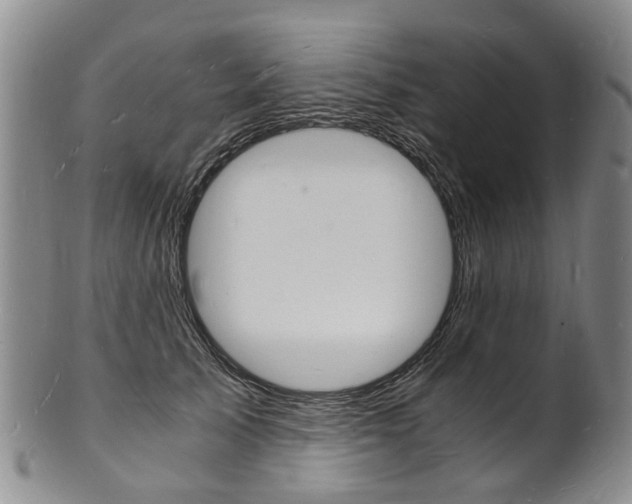 X0000101670705200807101049