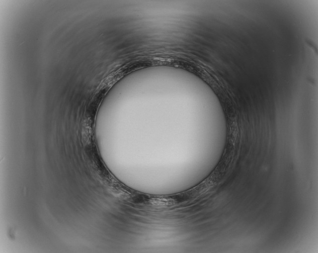 X0000101670707200807101049