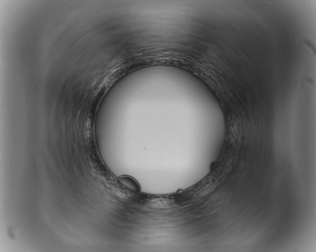 X0000101670708200807101049
