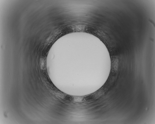 X0000101670709200807101049