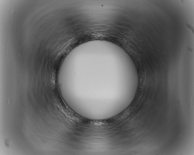 X0000101670710200807101049