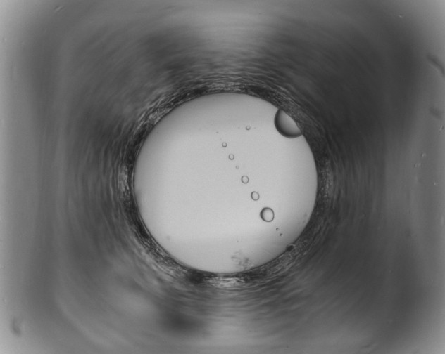 X0000101670711200807101049