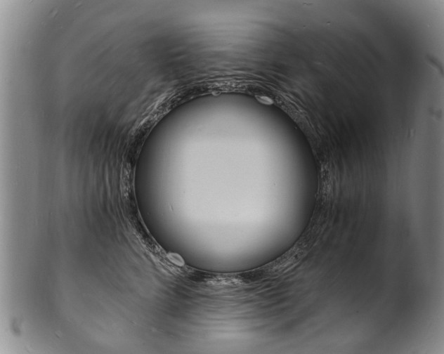 X0000101670712200807101049