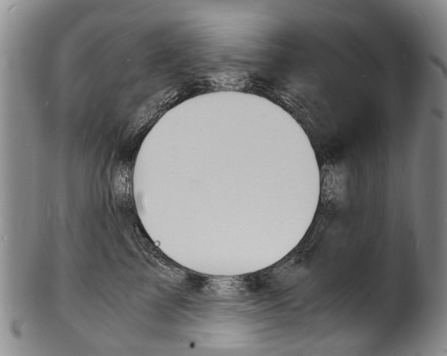 X0000101670713200807101049