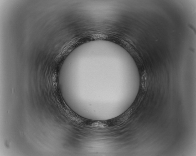 X0000101670714200807101049