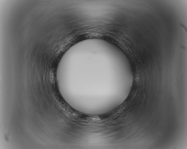 X0000101670715200807101049