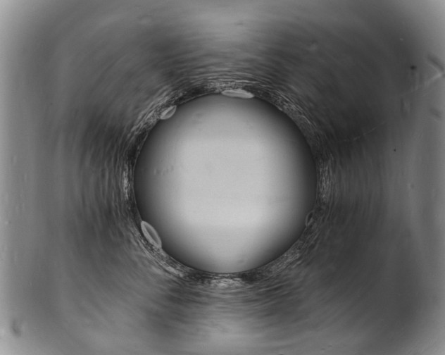 X0000101670716200807101049