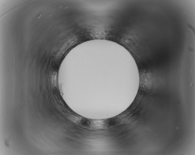 X0000101670717200807101049