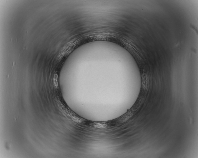 X0000101670718200807101049