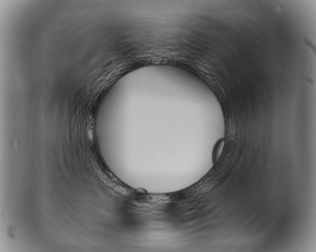 X0000101670719200807101049
