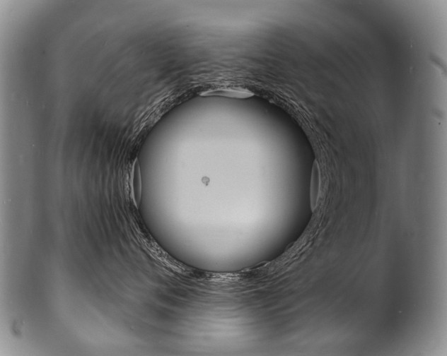 X0000101670720200807101049