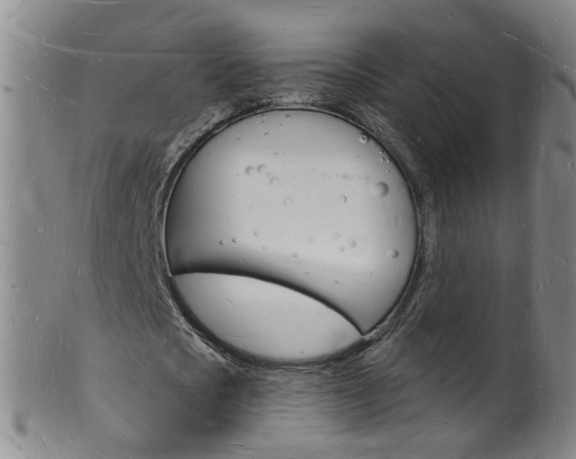 X0000101670721200807101048
