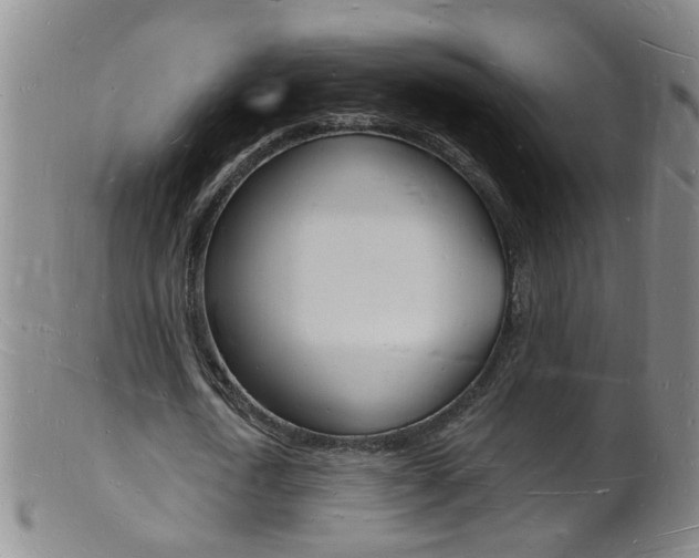 X0000101670722200807101048