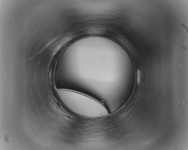X0000101670723200807101048