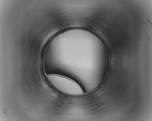 X0000101670724200807101048