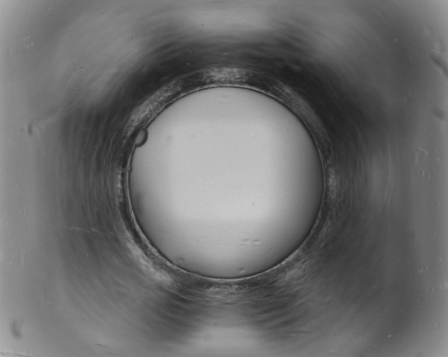 X0000101670725200807101048