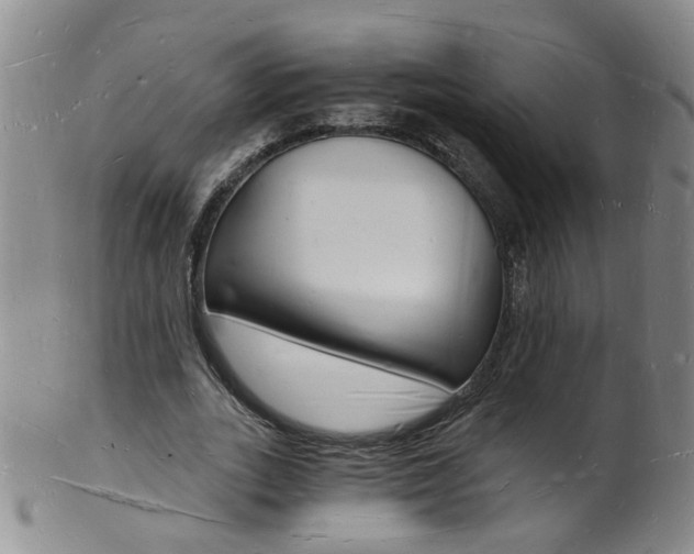 X0000101670727200807101048