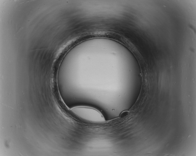 X0000101670728200807101048