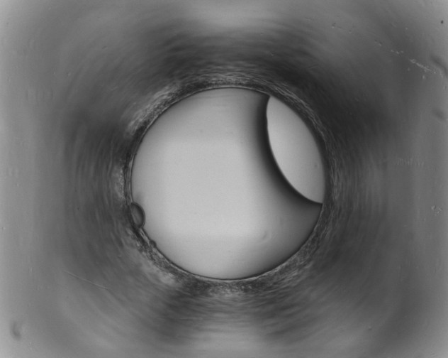 X0000101670729200807101048