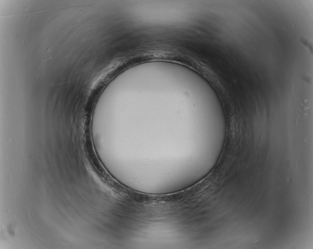 X0000101670730200807101048