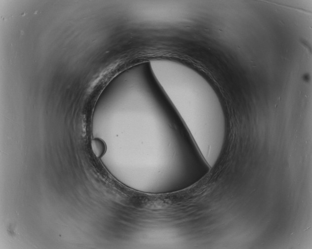 X0000101670731200807101048