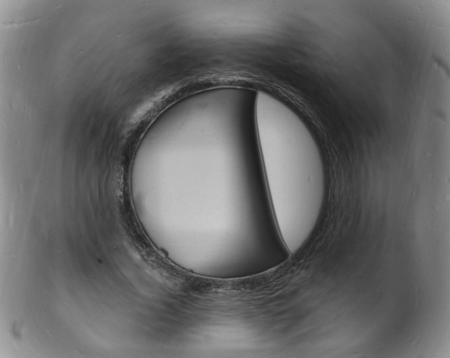 X0000101670732200807101048
