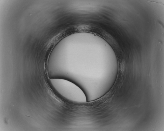 X0000101670733200807101048