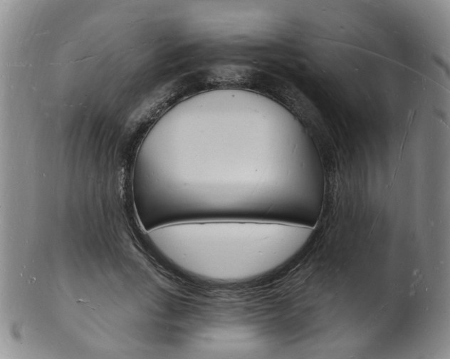 X0000101670735200807101048