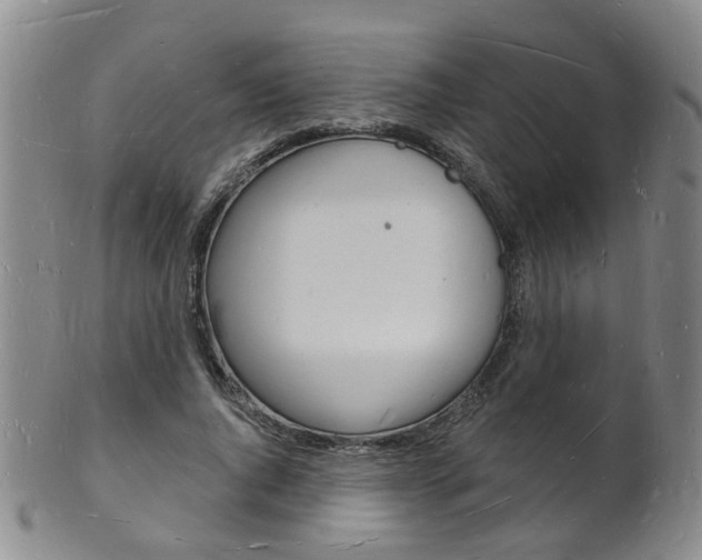 X0000101670736200807101048