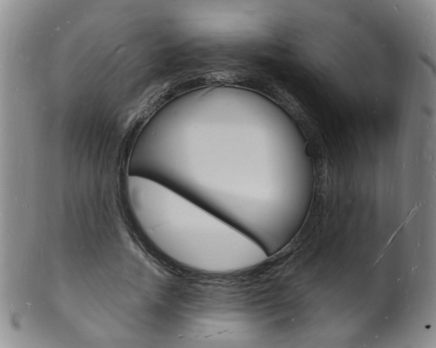 X0000101670738200807101048