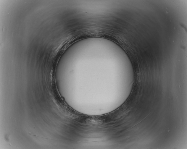 X0000101670739200807101049