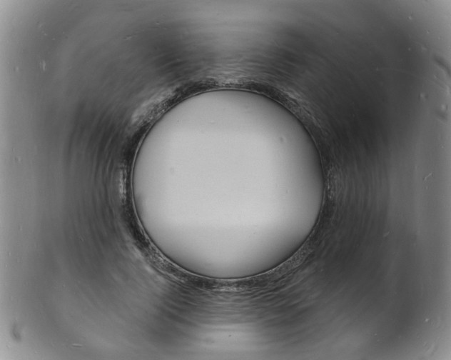 X0000101670740200807101049