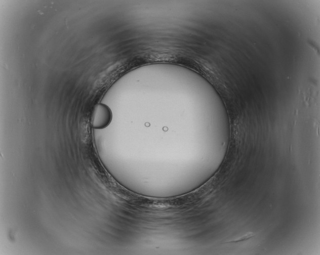 X0000101670741200807101049