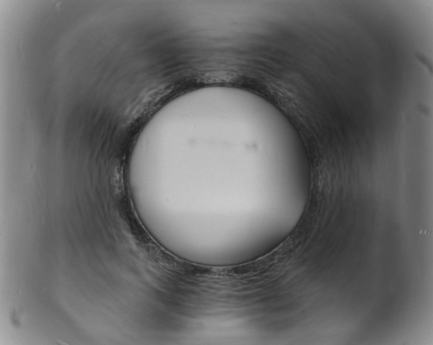 X0000101670743200807101049