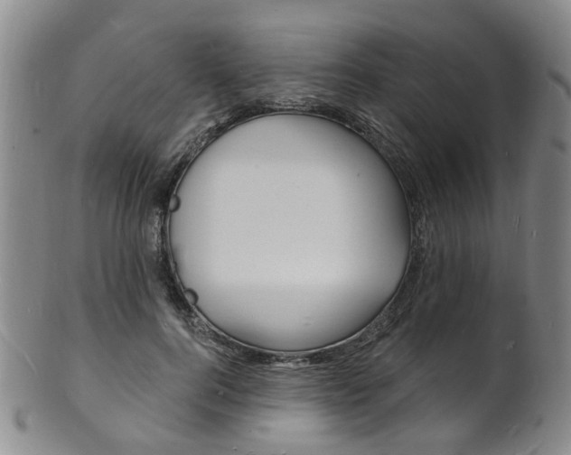 X0000101670744200807101049