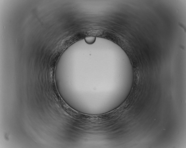 X0000101670745200807101049
